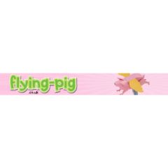 Flying Pig Software discounts