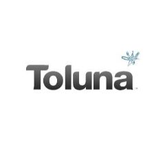 Toluna DOI discounts